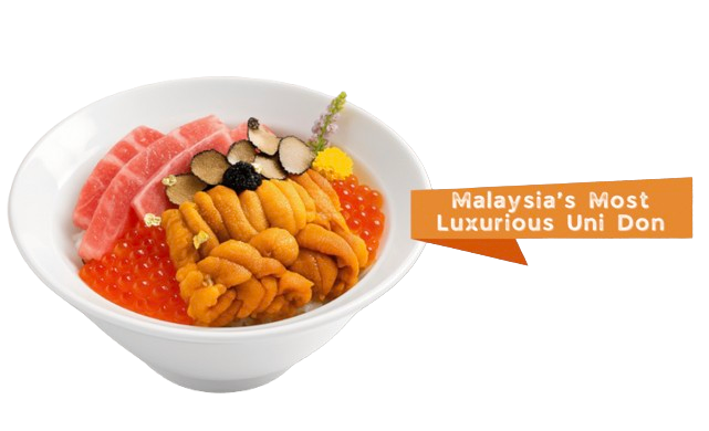 image removebg preview (7) image removebg preview (7)